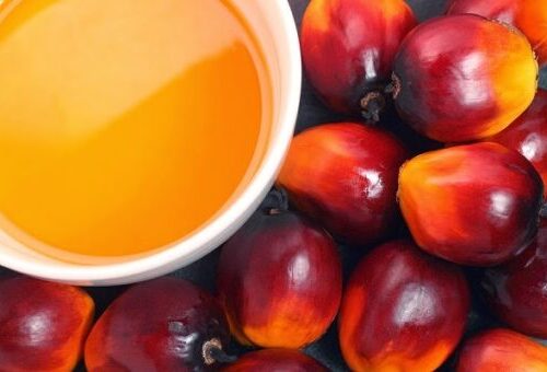 RED PALM OIL