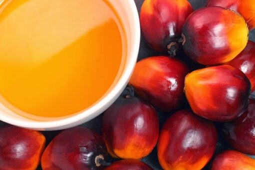 RED PALM OIL