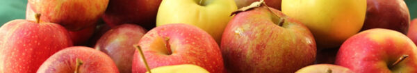 APPLES
