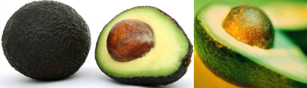 avocados AVOCADO