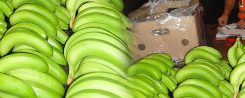 Bananas