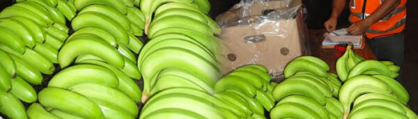 Bananas